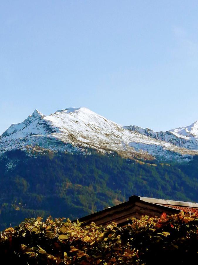 Haus Jessica Incl National Park Sommercard Mittersill Exterior foto